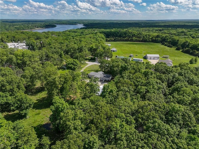 20435 Rb Hwy, Flemington, MO 65650 - aerial view of property's location with a forest and a large body of water