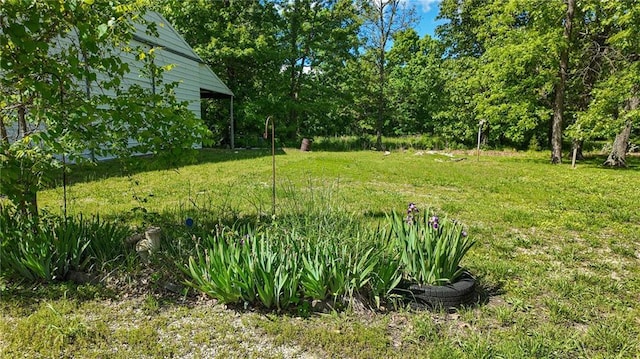 20435 Rb Hwy, Flemington, MO 65650 - view of grassy yard