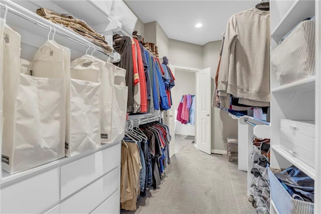 301 Sunrise Dr, Louisburg, KS 66053 - walk in closet with carpet flooring