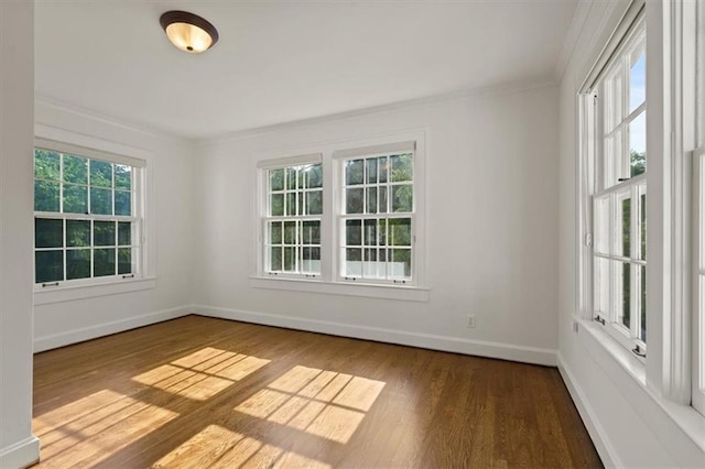 5427 Central St, Kansas City, MO 64112 - photo 24