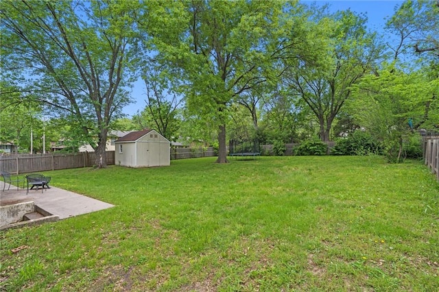view of yard with a storage unit, a patio, and an outbuilding