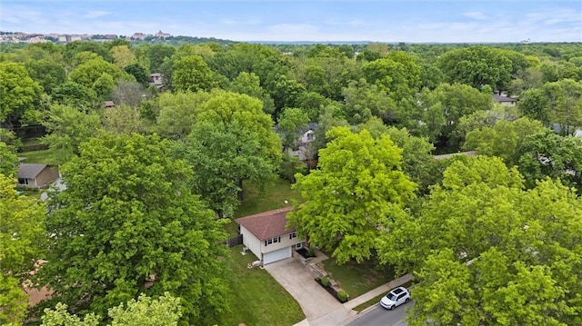 bird's eye view
