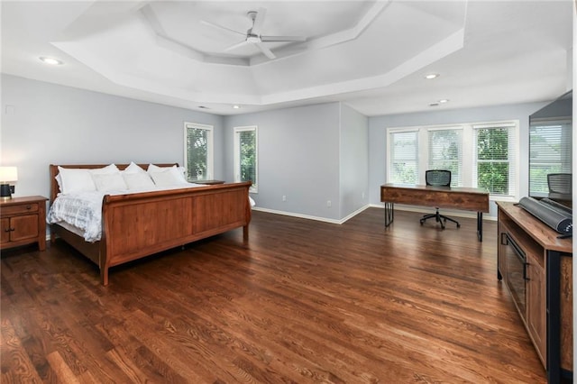 12843 Noland St, Overland Park, KS 66213 - bedroom featuring a tray ceiling, multiple windows, dark wood-style flooring, and recessed lighting