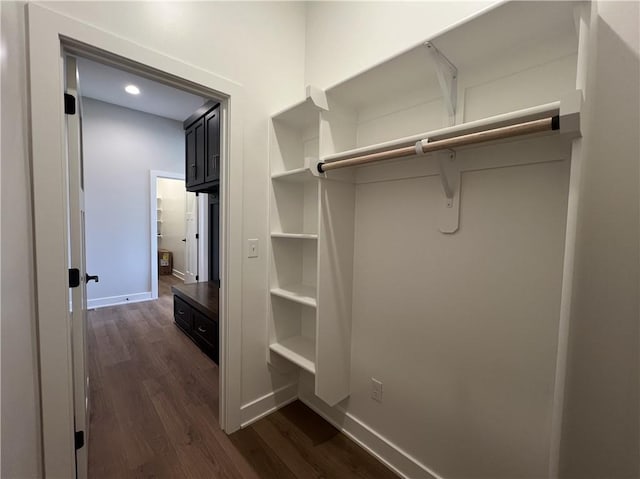spacious closet with dark wood finished floors