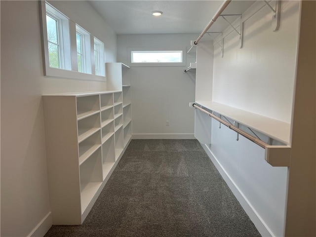 walk in closet with dark carpet