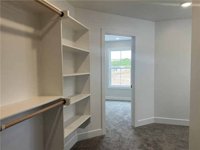 walk in closet featuring dark colored carpet