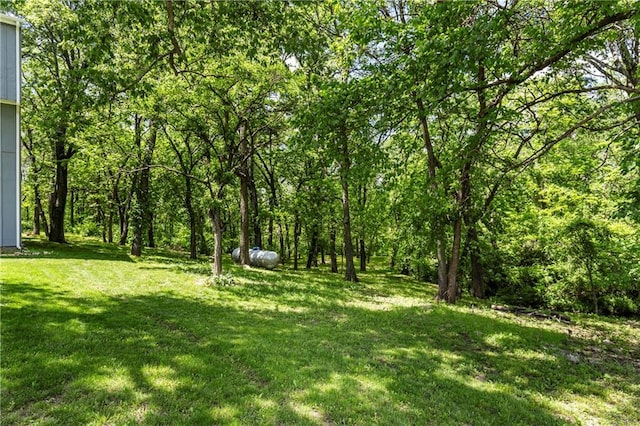 13330 Waverly Rd, Olathe, KS 66061 - photo 54