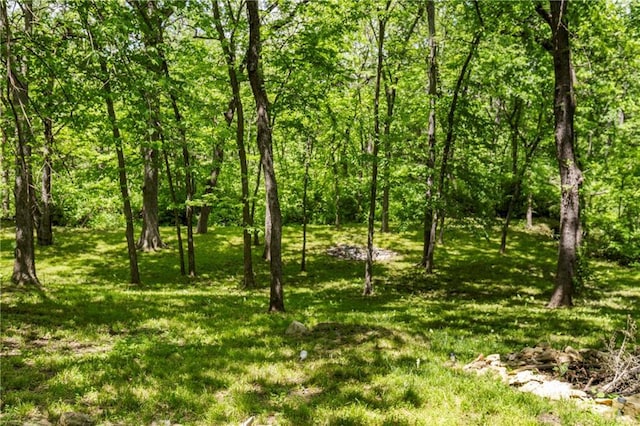 13330 Waverly Rd, Olathe, KS 66061 - photo 55