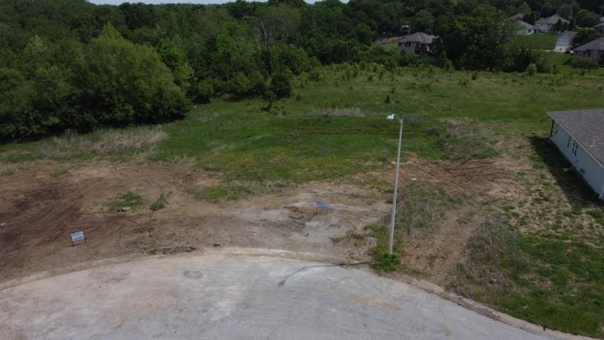 4541 Appleton Ave, Kansas City, MO 64133 - photo 4