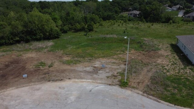 4541 Appleton Ave, Kansas City, MO 64133 - photo 4
