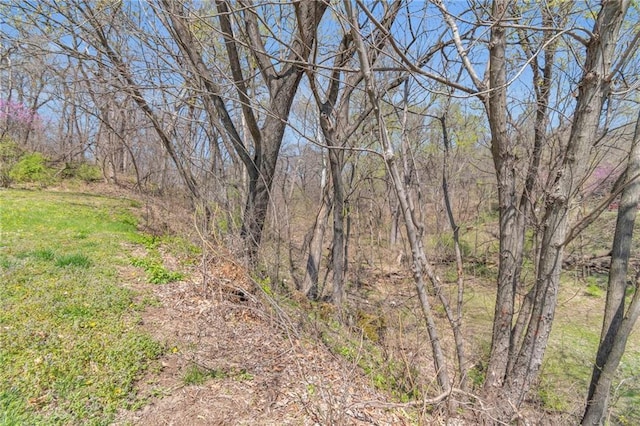 view of nature