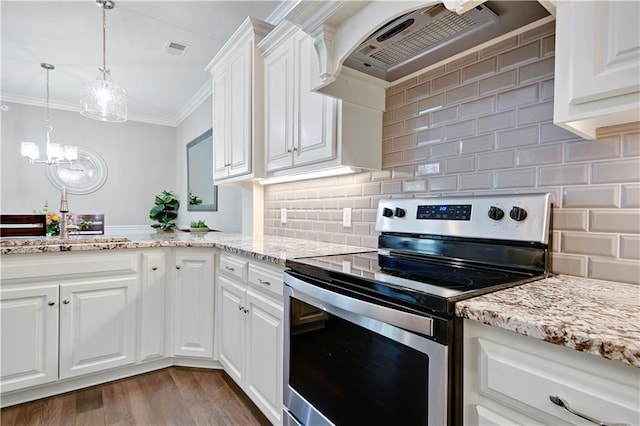 15908 Fontana St Unit 240, Overland Park, KS 66085 - kitchen featuring electric stove, ornamental molding, a sink, extractor fan, and wood finished floors