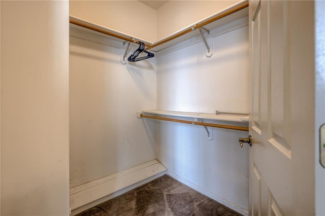 7100 N Cherry St, Gladstone, MO 64118 - walk in closet featuring carpet