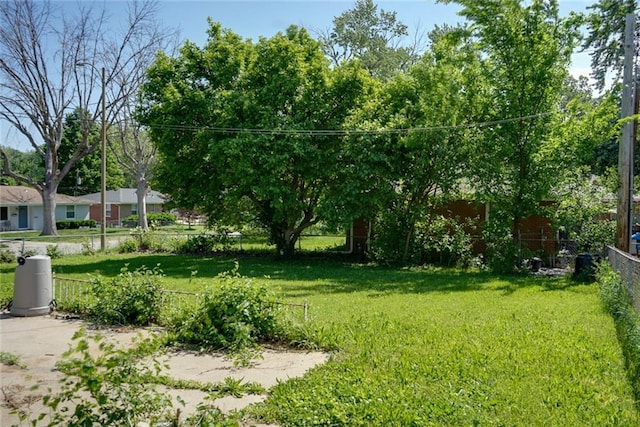 3001 S Hardy Ave, Independence, MO 64052 - view of yard