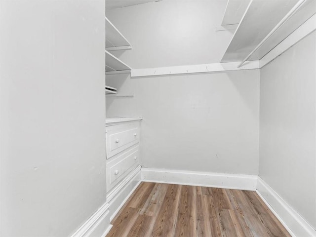 spacious closet featuring wood finished floors