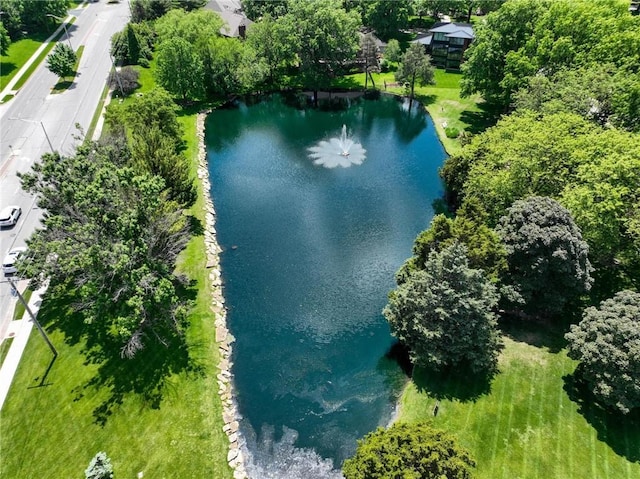 11203 Cedar St, Leawood, KS 66211 - bird's eye view of a large body of water