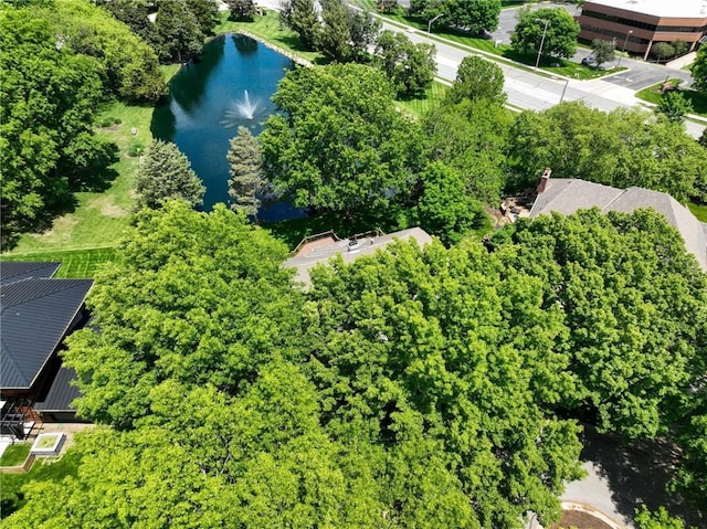 11203 Cedar St, Leawood, KS 66211 - drone / aerial view of a large body of water