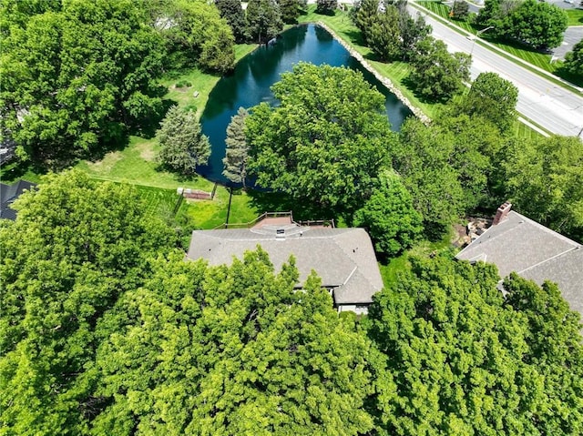 11203 Cedar St, Leawood, KS 66211 - bird's eye view of a nearby body of water