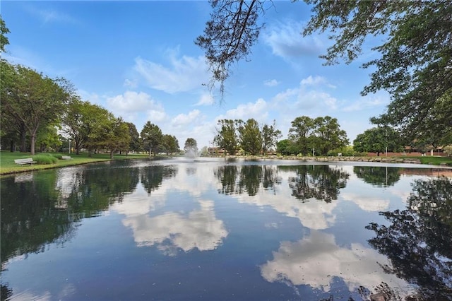11203 Cedar St, Leawood, KS 66211 - water view