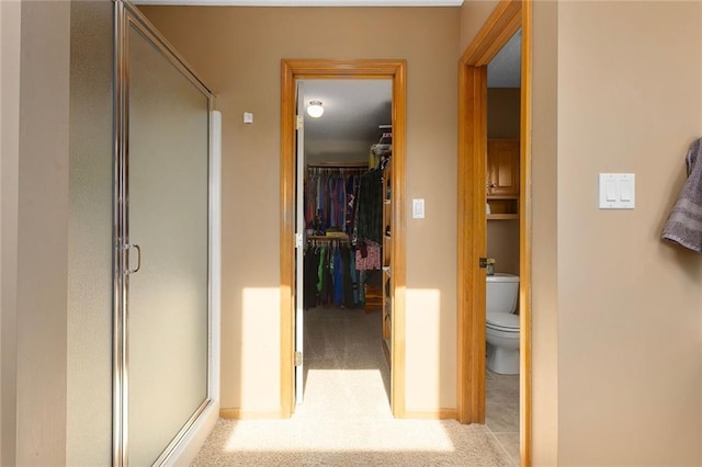 17699 157th Ter, Basehor, KS 66007 - hall with light colored carpet