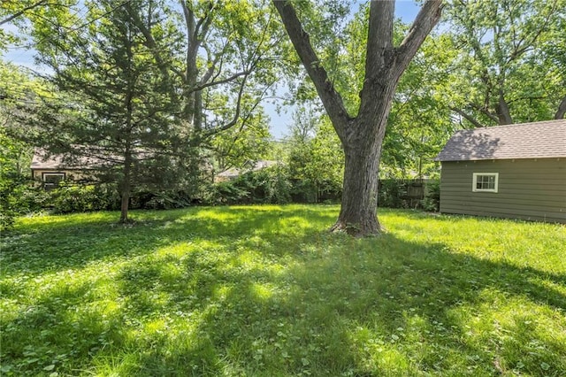 view of yard with an outdoor structure