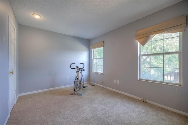 4729 Halsey St, Shawnee, KS 66216 - exercise room with carpet flooring and a textured ceiling