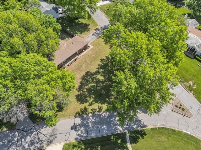 drone / aerial view