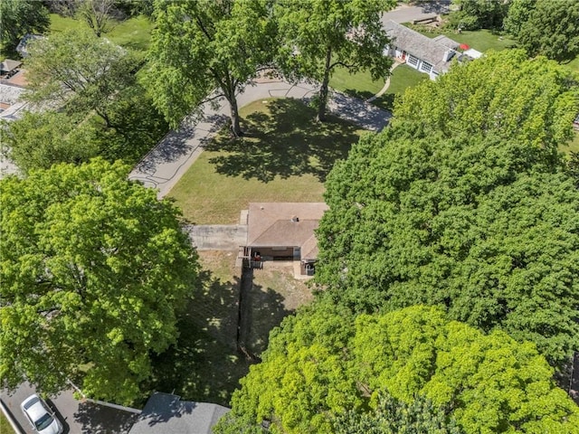 drone / aerial view