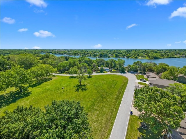 1717 NE Luther Rd, Lees Summit, MO 64086 - aerial view of a large body of water