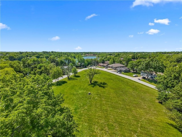 1717 NE Luther Rd, Lees Summit, MO 64086 - bird's eye view of a forest