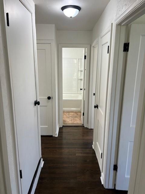 corridor featuring dark wood finished floors