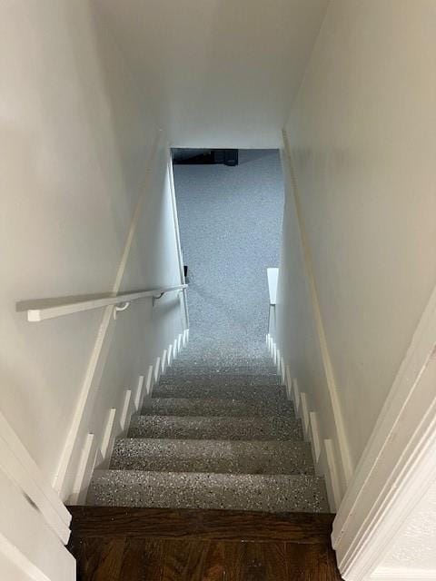 stairs featuring carpet floors