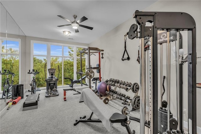 15452 Ironhorse Cir, Leawood, KS 66224 - photo 46