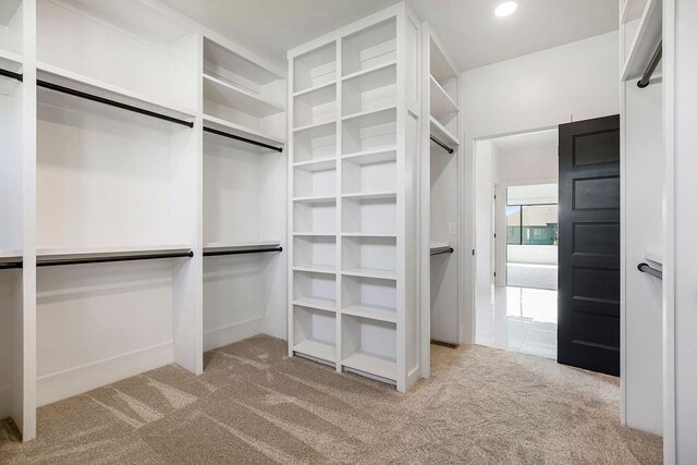 spacious closet with carpet floors