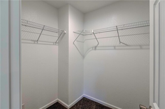 16253 W Briarwood Ct, Olathe, KS 66062 - spacious closet with dark carpet