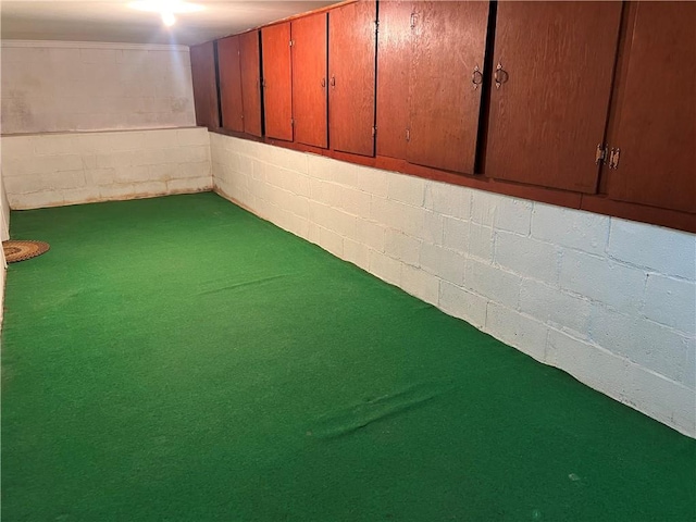 5720 NW 51st St, Kansas City, MO 64151 - basement featuring concrete block wall and carpet flooring
