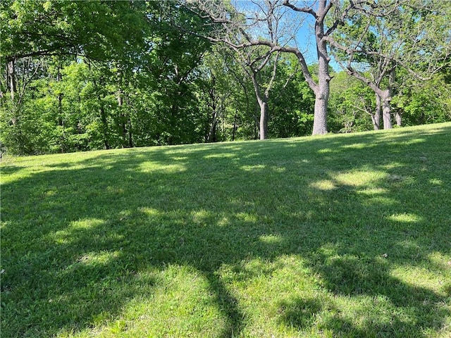 5720 NW 51st St, Kansas City, MO 64151 - view of green lawn