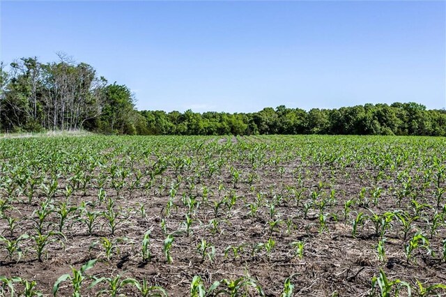 1982 Indiana Rd, Ottawa, KS 66067 - photo 31