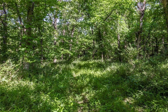 1982 Indiana Rd, Ottawa, KS 66067 - photo 33