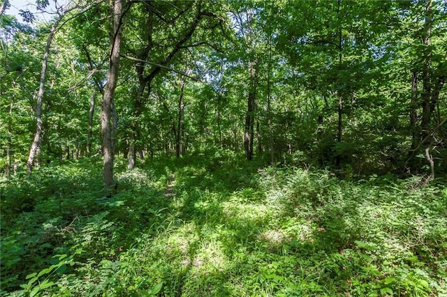 1982 Indiana Rd, Ottawa, KS 66067 - photo 34