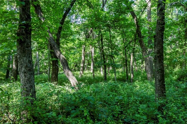 1982 Indiana Rd, Ottawa, KS 66067 - photo 35