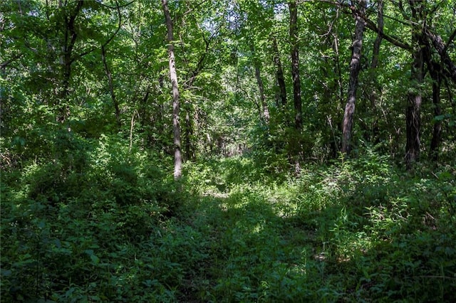 1982 Indiana Rd, Ottawa, KS 66067 - photo 36