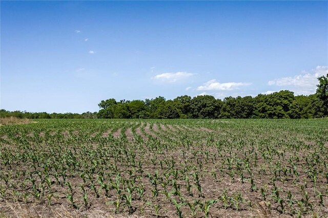 1982 Indiana Rd, Ottawa, KS 66067 - photo 43