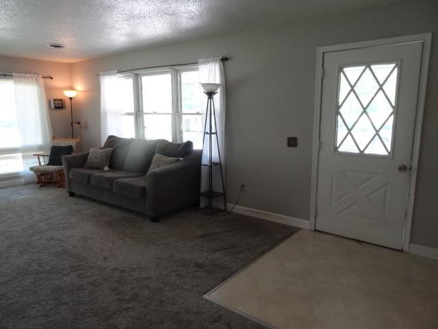 6780 SW County Road 2007th Rd, Rich Hill, MO 64779 - carpeted living area featuring plenty of natural light, a textured ceiling, and baseboards