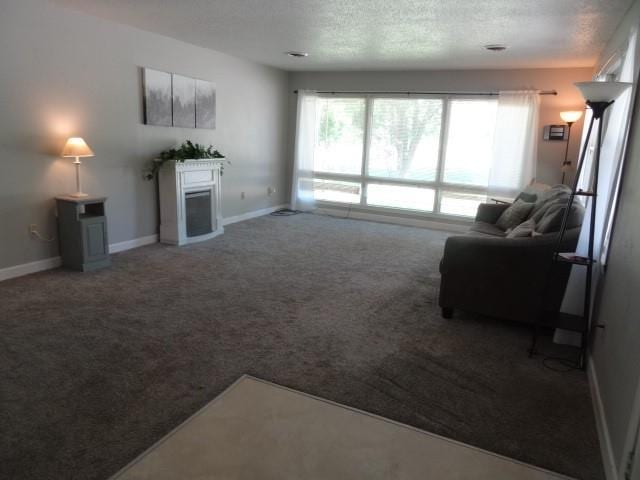 6780 SW County Road 2007th Rd, Rich Hill, MO 64779 - living area featuring carpet floors, baseboards, a fireplace, and a textured ceiling
