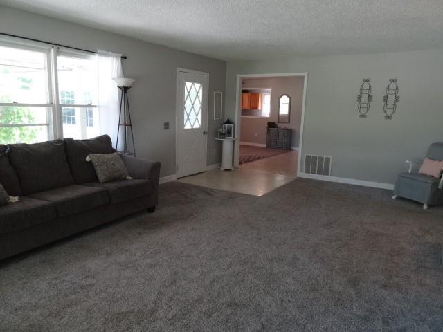 6780 SW County Road 2007th Rd, Rich Hill, MO 64779 - living area with a textured ceiling, carpet, and baseboards
