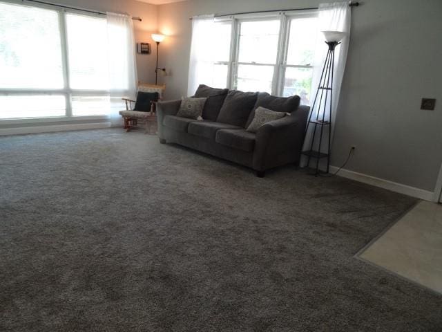 6780 SW County Road 2007th Rd, Rich Hill, MO 64779 - carpeted living area featuring baseboards