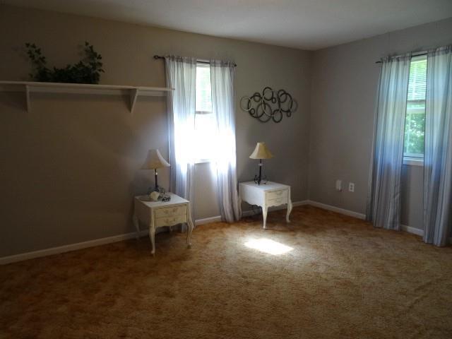 6780 SW County Road 2007th Rd, Rich Hill, MO 64779 - carpeted empty room with healthy amount of natural light and baseboards