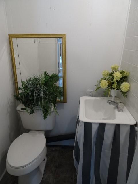 6780 SW County Road 2007th Rd, Rich Hill, MO 64779 - bathroom with toilet and a sink