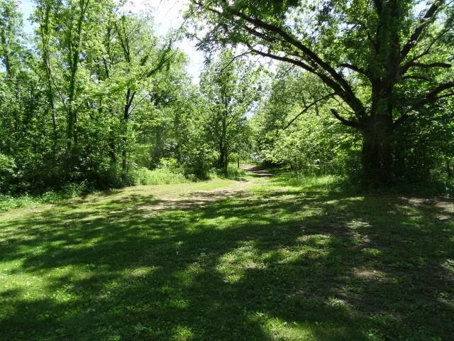 6780 SW County Road 2007th Rd, Rich Hill, MO 64779 - view of grassy yard with a view of trees